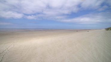 kato-nigra_strand_14_wp