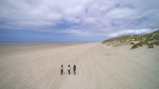 kato-nigra_strand_15_wp