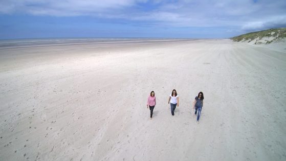 kato-nigra_strand_16_wp