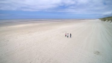 kato-nigra_strand_18_wp