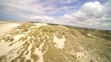 kato-nigra_strand_19_wp