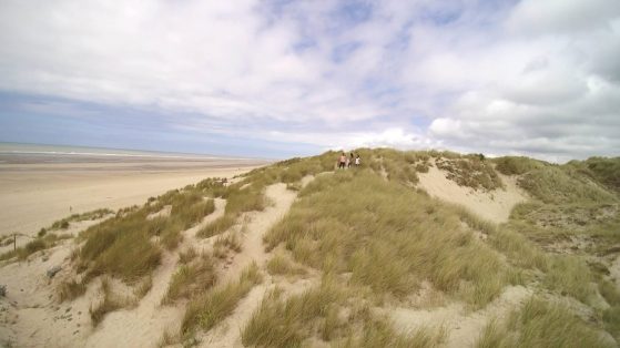 kato-nigra_strand_21_wp